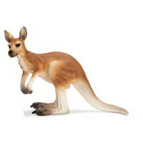 Schleich Kangeroe mannetje 14607