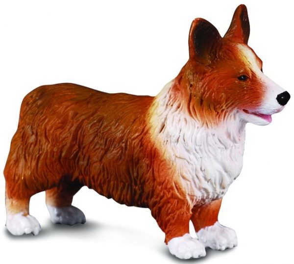 Collecta Welsh Corgi 88082