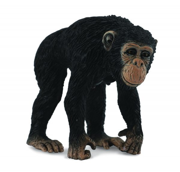 Collecta Chimpansee 88493
