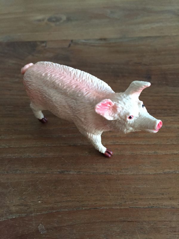 Varken