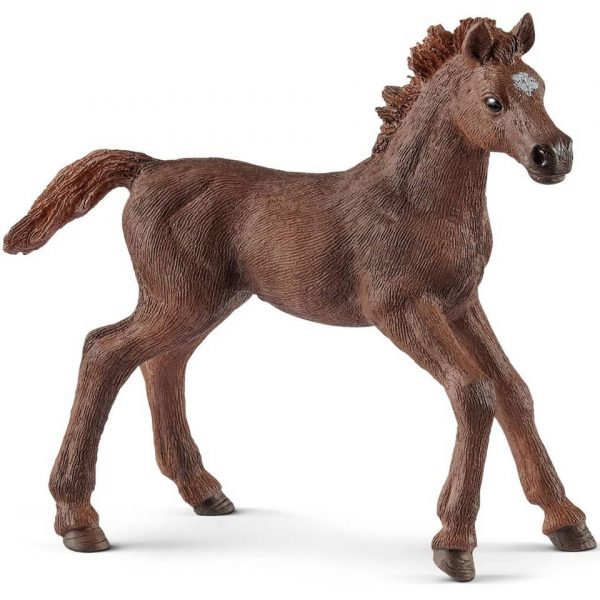 Schleich Engels Volbloed Veulen 13857