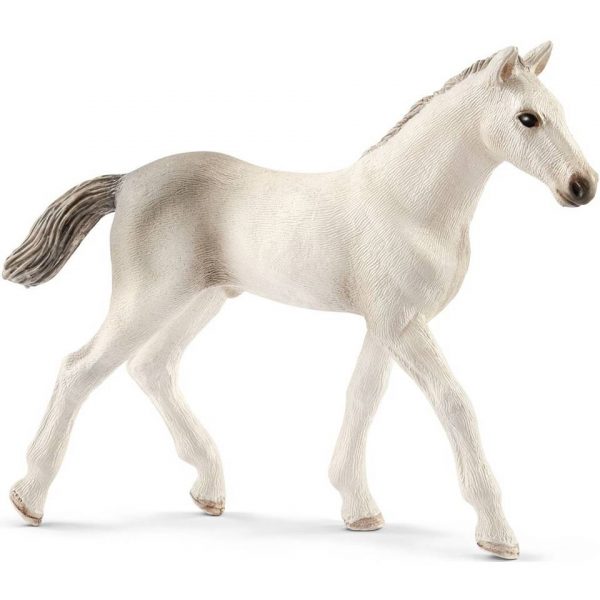 Schleich Holstein Veulen 13860
