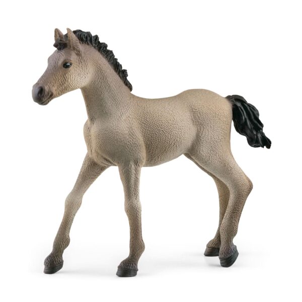 Schleich Criollo Definitivo Veulen 13949