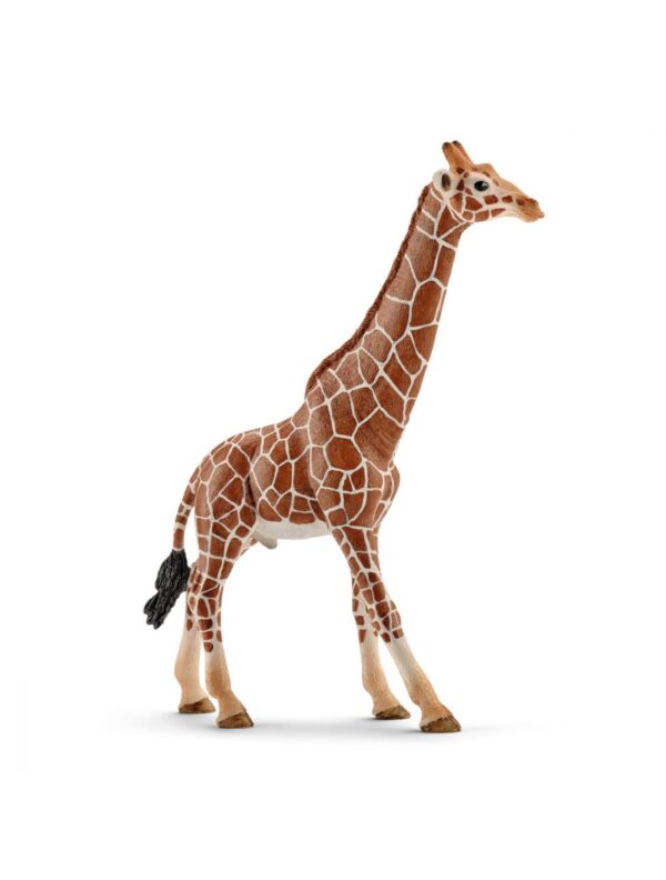 Schleich Giraffe Mannetje 14749