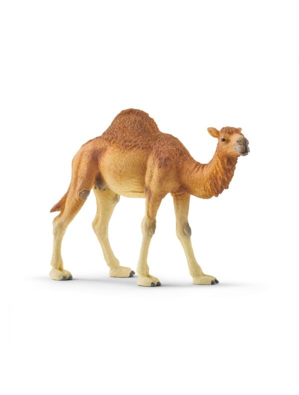 Schleich Dromedaris 14832